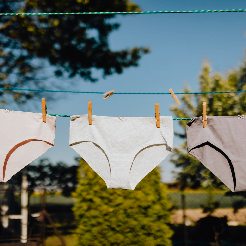 PFAS in Period Underwear